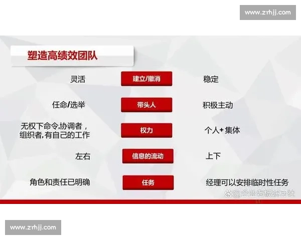 提升团队协作与战术执行力全面解析体育赛场表现